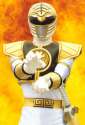 643610_mighty_morphin_power_rangers___white_tiger_ranger.jpg