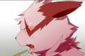 Zangoose155.jpg