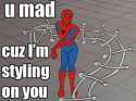 Spiderman_1711d9_5320101.jpg