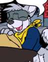 Fox (153).png