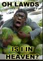 nigger-watermelon.png
