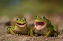 Eat-the-Frog.jpg
