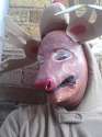 Rudolf.jpg