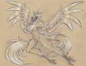 1456267078.nicnak044_phoenix.png.jpe.jpg