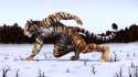 tmp_22097-dreamandnightmare-Snow-Tiger1269515880.jpg