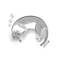 tohma's cat.png