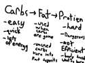 the different things your body burns for energy.jpg