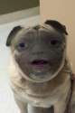 C__Data_Users_DefApps_AppData_INTERNETEXPLORER_Temp_Saved Images_1455468098075.jpg