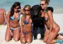 crazy_monkeys_07.jpg