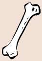 bone.png