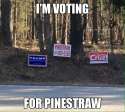 trump_pinestraw.jpg