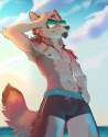 1455230219.koul_hotdays.jpg