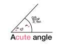 acuteanglewhite_fullpic.jpg