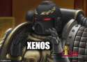 xenos.jpg