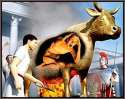 brazen bull part deux.jpg