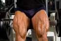quads.jpg