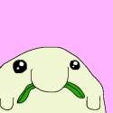 image.gif