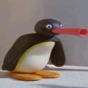 nootpingu.jpg