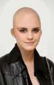emma_watson_shaved_head.jpg