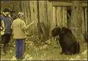 bear hug.gif