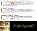 bananas.jpg