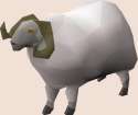 Ram.png