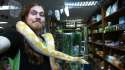 yellow snek.jpg
