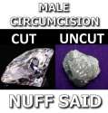 cut-and-uncut.jpg