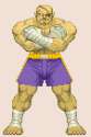 Sagat02_rindo.gif