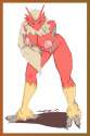 Blaziken60.jpg
