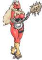 blaziken8.jpg