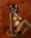 190_1360559539.shazzi_catgirlie.jpg
