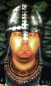 downguard.jpg