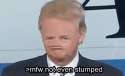 unstumpable.gif