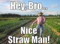 strawmanaintjustariverinegypt.png