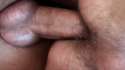 anal penetration.gif