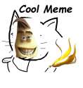 1450224354977.png