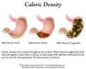 Calorie_density_Julieanna_HeverSize400.jpg