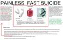 painless fast suicide.jpg