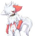 Zangoose10.jpg