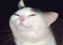 smugbastard.png