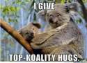 koala-hugs_o_329235.jpg