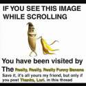 1451609037656.jpg