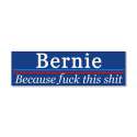 bernie_because_fuck_this_shit_car_magnet_10_x_3.jpg