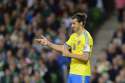 Republic-of-Ireland-v-Sweden-FIFA-2014-World-Cup-Qualifier.jpg