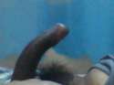 My Snapshot155.jpg