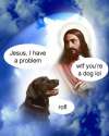15593e9bb3cdd1eb792909f2edfe4eca.jpg