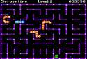 86706-serpentine-apple-ii-screenshot-catch-the-frog-to-grow-your.png