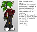 shane_the_hedgehog_by_shadowschaosemereld-d4illie.png