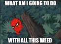 weed.png